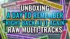 Unboxing A Day To Remember raw multi-tracks