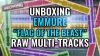 Unboxing Emmure “Flag Of The Beast” multi-tracks