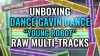 Unboxing Dance Gavin Dance raw multi-tracks